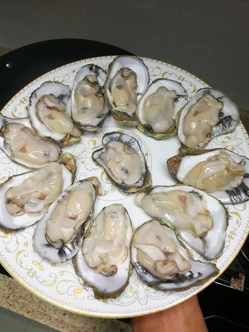 带壳生蚝蒸多久才熟？