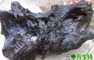 乌木价格多少钱一斤值钱吗？