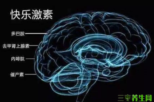 内啡肽和多巴胺的区别？