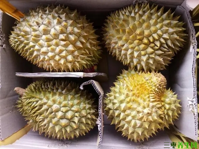 吃完榴莲千万别碰5种食物？