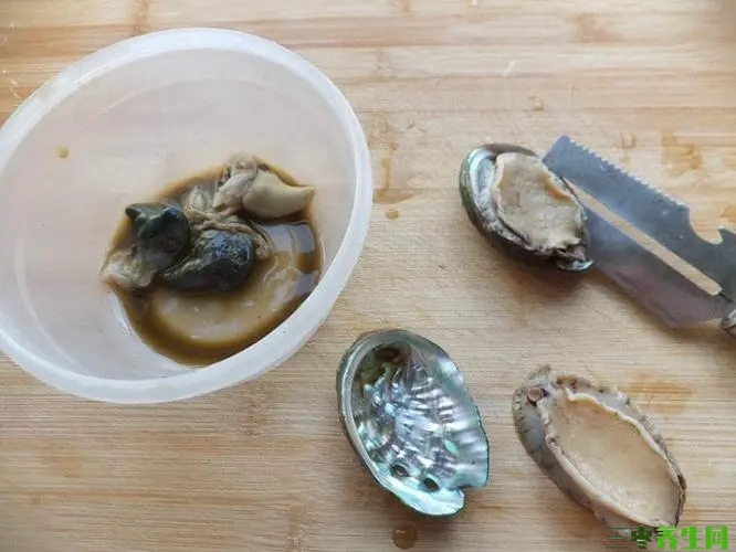 鲍鱼怎么保存最新鲜是要煮熟吗？