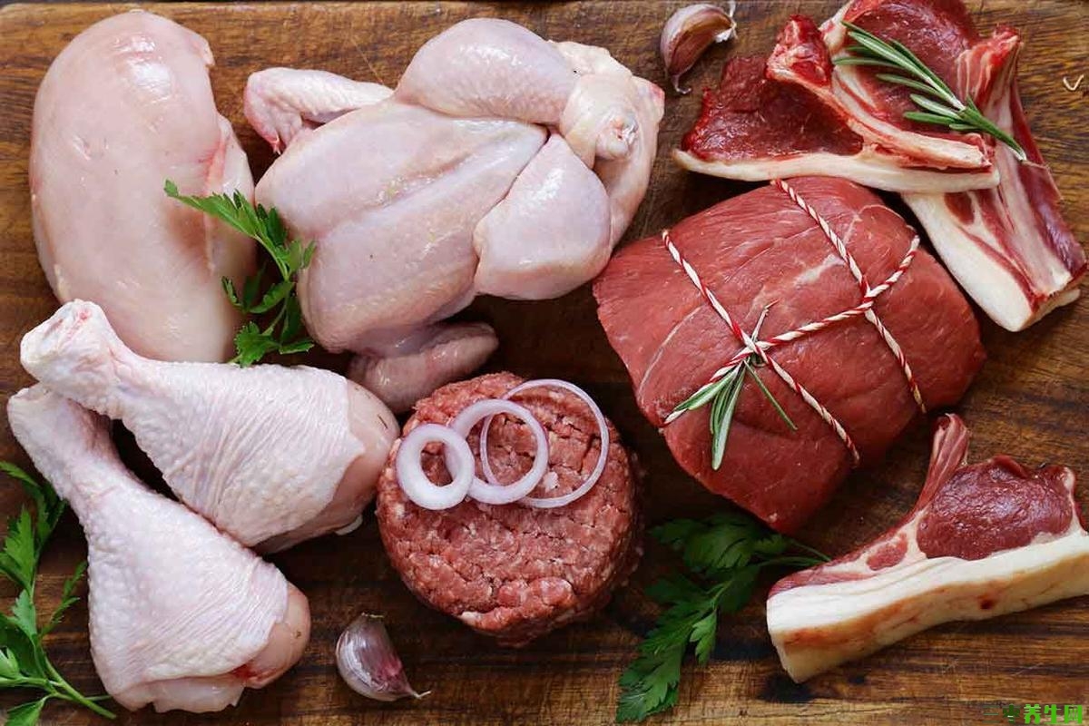 白肉是指什么肉有哪些？