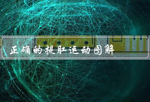 正确的提肛运动图解，可以改善男性X功能