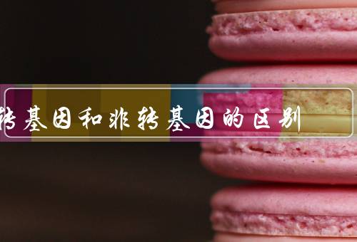 转基因和非转基因的区别，4个方面来看两者的区别